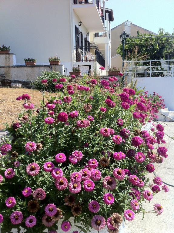 Dimitrakis Apartments Kassiopi Dış mekan fotoğraf