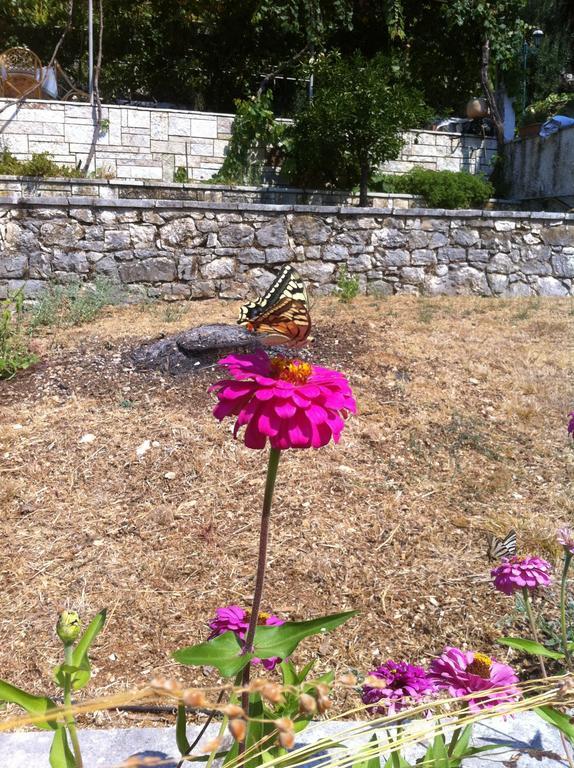 Dimitrakis Apartments Kassiopi Dış mekan fotoğraf